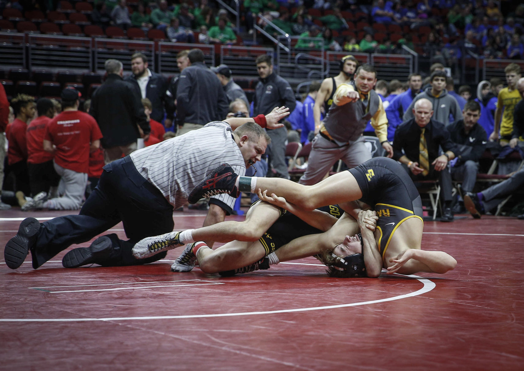 021319ho-state-duals-05